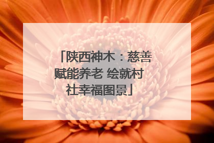 陕西神木：慈善赋能养老 绘就村社幸福图景