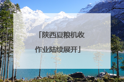 陕西夏粮机收作业陆续展开