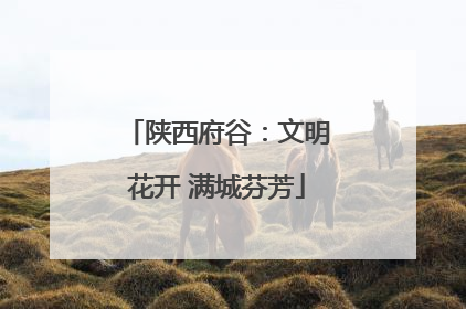 陕西府谷：文明花开 满城芬芳