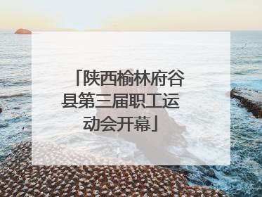 陕西榆林府谷县第三届职工运动会开幕