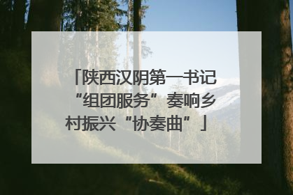 陕西汉阴第一书记“组团服务”奏响乡村振兴“协奏曲”