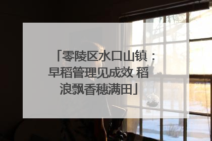 零陵区水口山镇：早稻管理见成效 稻浪飘香穗满田