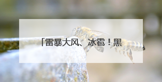 雷暴大风、冰雹！黑龙江人注意！这几天可能发生地磁暴……