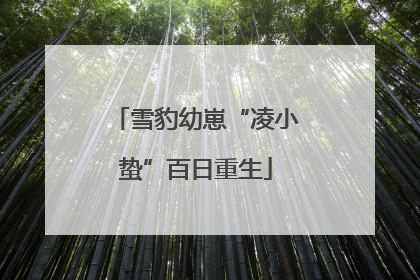雪豹幼崽“凌小蛰”百日重生