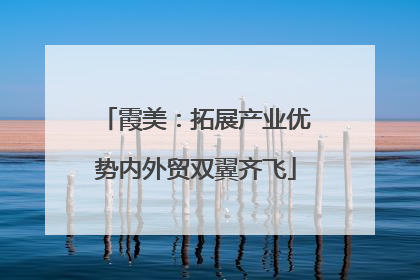 霞美：拓展产业优势内外贸双翼齐飞