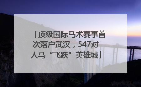 顶级国际马术赛事首次落户武汉，547对人马“飞跃”英雄城