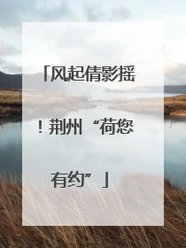 风起倩影摇！荆州“荷您有约”