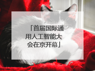 首届国际通用人工智能大会在京开幕