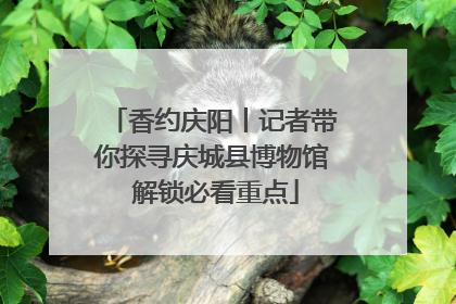 香约庆阳丨记者带你探寻庆城县博物馆 解锁必看重点