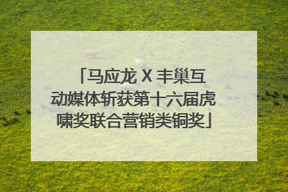 马应龙 X 丰巢互动媒体斩获第十六届虎啸奖联合营销类铜奖