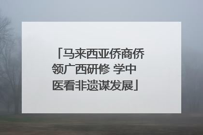 马来西亚侨商侨领广西研修 学中医看非遗谋发展