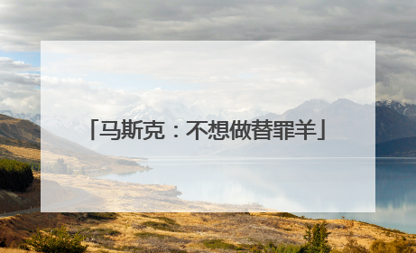 马斯克：不想做替罪羊