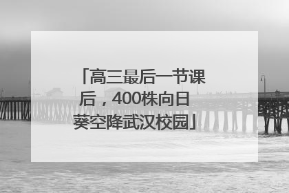高三最后一节课后，400株向日葵空降武汉校园