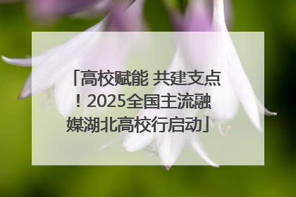 高校赋能 共建支点！2025全国主流融媒湖北高校行启动