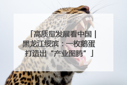 高质量发展看中国｜黑龙江绥滨：一枚鹅蛋打造出“产业图腾”