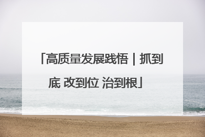 高质量发展践悟｜抓到底 改到位 治到根