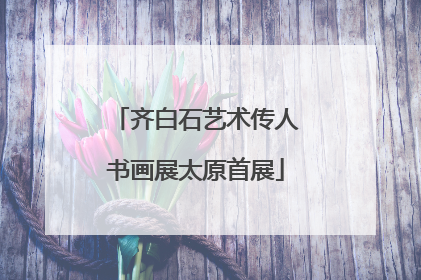 齐白石艺术传人书画展太原首展