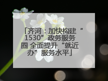 齐河：加快构建“1530”政务服务圈 全面提升“就近办”服务水平