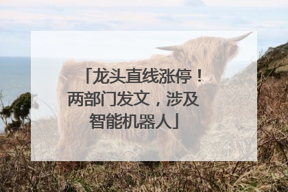 龙头直线涨停！两部门发文，涉及智能机器人