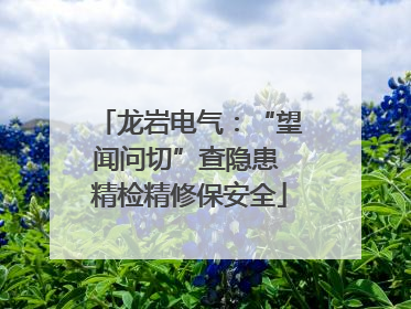 龙岩电气：“望闻问切”查隐患 精检精修保安全