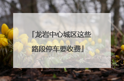 龙岩中心城区这些路段停车要收费