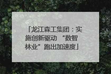 龙江森工集团：实施创新驱动 “数智林业”跑出加速度
