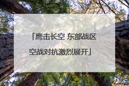 鹰击长空 东部战区空战对抗激烈展开