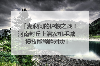 麦浪间的护粮之战！河南封丘上演农机手减损技能巅峰对决