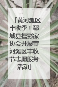 黄河滩区丰收季！郓城县摄影家协会开展黄河滩区丰收节志愿服务活动