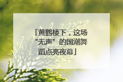 黄鹤楼下，这场“无声”的国潮舞蹈点亮夜幕