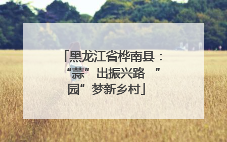 黑龙江省桦南县：“蒜”出振兴路 “园”梦新乡村
