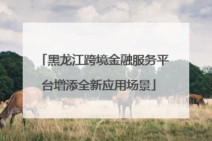 黑龙江跨境金融服务平台增添全新应用场景