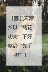 黟县宏潭乡以“绣花功夫”下好整治“先手棋”