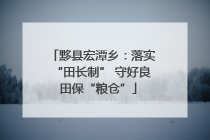 黟县宏潭乡：落实“田长制” 守好良田保“粮仓”