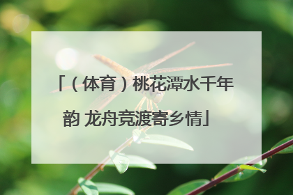 （体育）桃花潭水千年韵 龙舟竞渡寄乡情