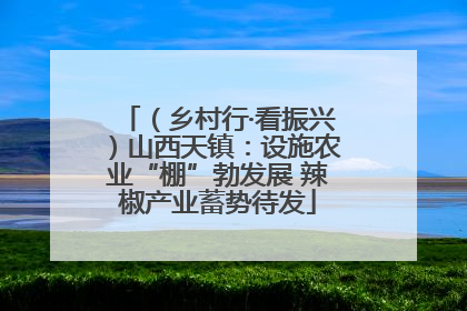 （乡村行·看振兴）山西天镇：设施农业“棚”勃发展 辣椒产业蓄势待发