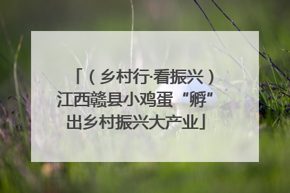 （乡村行·看振兴）江西赣县小鸡蛋“孵”出乡村振兴大产业