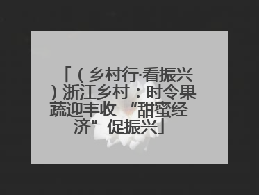 （乡村行·看振兴）浙江乡村：时令果蔬迎丰收 “甜蜜经济”促振兴