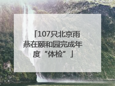 107只北京雨燕在颐和园完成年度“体检”