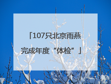 107只北京雨燕完成年度“体检”