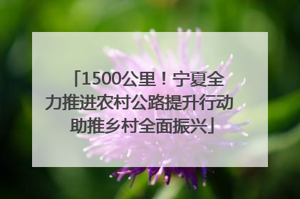 1500公里！宁夏全力推进农村公路提升行动 助推乡村全面振兴