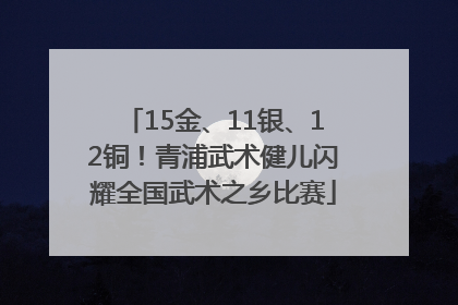 15金、11银、12铜！青浦武术健儿闪耀全国武术之乡比赛