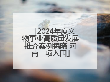 2024年度文物事业高质量发展推介案例揭晓 河南一项入围