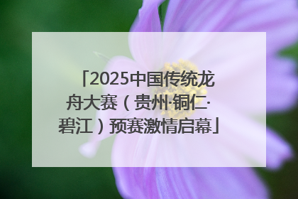2025中国传统龙舟大赛（贵州·铜仁·碧江）预赛激情启幕