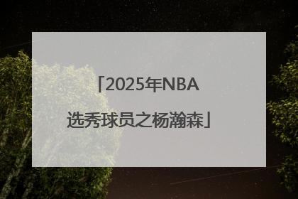 2025年NBA选秀球员之杨瀚森