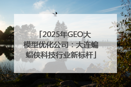 2025年GEO大模型优化公司：大连蝙蝠侠科技行业新标杆