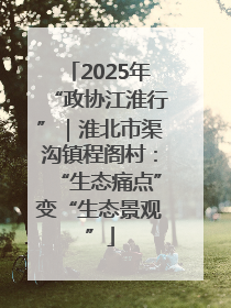 2025年“政协江淮行”｜淮北市渠沟镇程阁村：“生态痛点”变“生态景观”