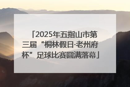 2025年五指山市第三届“桐林假日·老州府杯”足球比赛圆满落幕