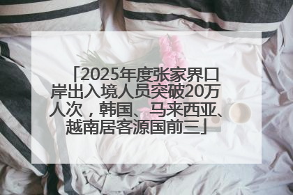 2025年度张家界口岸出入境人员突破20万人次，韩国、马来西亚、越南居客源国前三