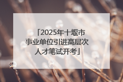 2025年十堰市事业单位引进高层次人才笔试开考